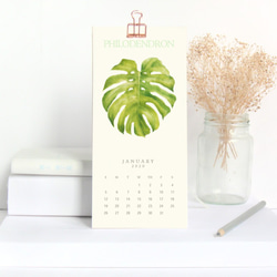 植物的靜默  2020 行事历 年曆 桌曆 給植物愛好者的交換禮物 第1張的照片