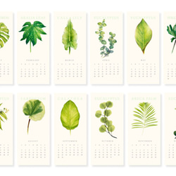 植物的靜默  2020 行事历 年曆 桌曆 給植物愛好者的交換禮物 第5張的照片