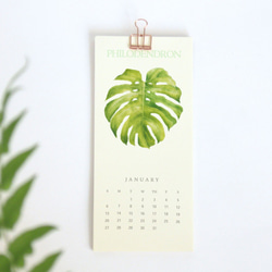 植物的靜默  2020 行事历 年曆 桌曆 給植物愛好者的交換禮物 第7張的照片
