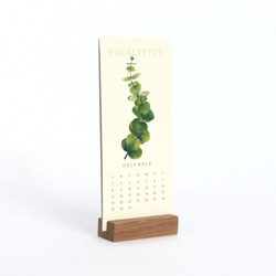 植物的靜默  2020 行事历 年曆 桌曆 給植物愛好者的交換禮物 第8張的照片