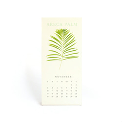 植物的靜默  2020 行事历 年曆 桌曆 給植物愛好者的交換禮物 第9張的照片