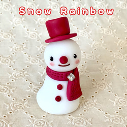 Snow Rainbow レッド 1枚目の画像