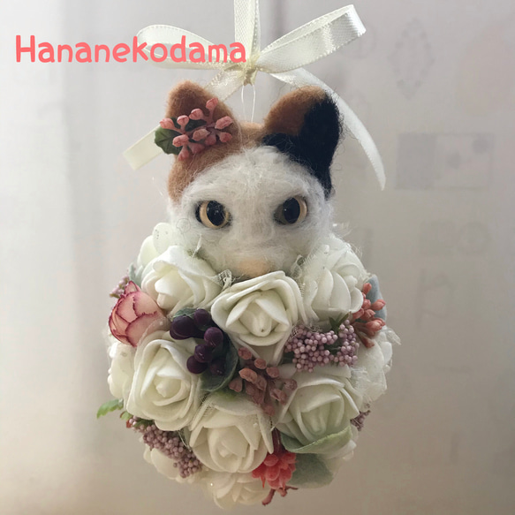 HanaNekodama✳︎花ねこ球 1枚目の画像