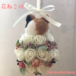 HanaNekodama✳︎花ねこ球 3枚目の画像