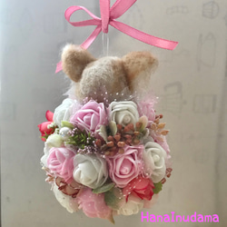 HanaInudama✳︎花いぬ球 3枚目の画像