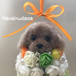 HanaInudama✳︎花いぬ球 2枚目の画像