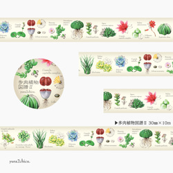 多肉植物図譜Ⅱ マスキングテープ 3枚目の画像