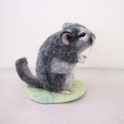 miya様オーダー作品　チンチラ 2枚目の画像