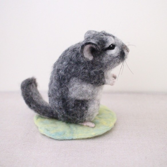 miya様オーダー作品　チンチラ 2枚目の画像