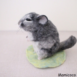 miya様オーダー作品　チンチラ 4枚目の画像
