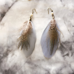 羽毛感覺被刺“淡水珍珠和藍米色”風 第3張的照片