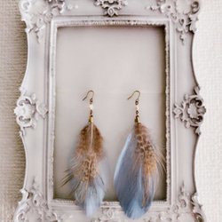 羽毛感覺被刺“淡水珍珠和藍米色”風 第4張的照片