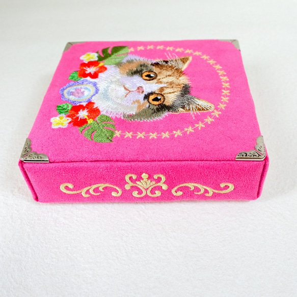 猫の宝石箱～スコティッシュ～ 5枚目の画像