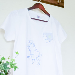 夏の猫T〔へそ天猫と夏空の刺繍Tシャツ〕白 2枚目の画像