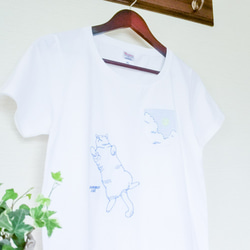 夏の猫Tセット〔へそ天猫と夏空の刺繍Tシャツ〕白＆黒 6枚目の画像