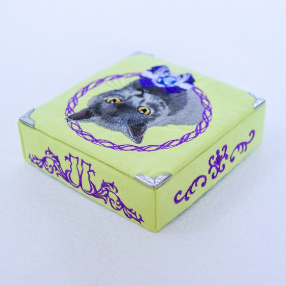 猫の宝石箱～ブリティッシュショートヘア＆サファイア～ 3枚目の画像