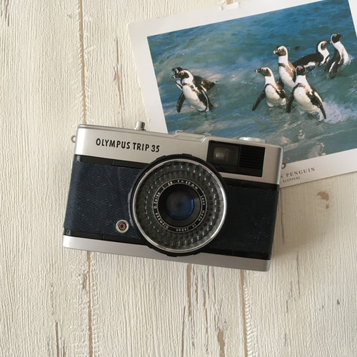 フィルムカメラ【35mm自動カメラ】レトロな仕上がりの写真が撮れる！ フィルムカメラ【35mm自動カメラ】レトロな仕上がりの写真が撮れる