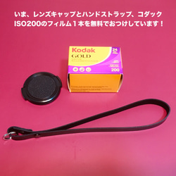 【完動品】レトロなフィルムカメラ オリンパス TRIP35 スモークブルーの本革にお色直し　フィルム１本付き 9枚目の画像