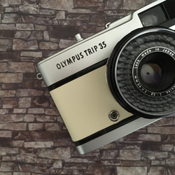 【完動品】レトロなフィルムカメラ オリンパスTRIP35　ミルキーホワイトの本革 6枚目の画像