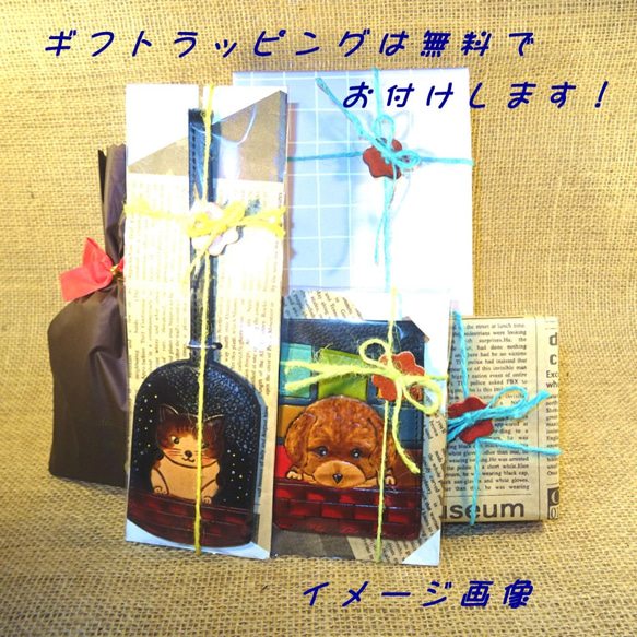  第6張的照片