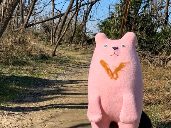 くま・羊毛フェルトのぬいぐるみ《スック君》大サイズ・ピンク色 3枚目の画像