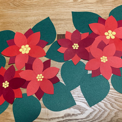 油絵 クリスマスの花 赤 ポインセチア ポインセチアの季節 #ポインセチア #ボタニカルアート