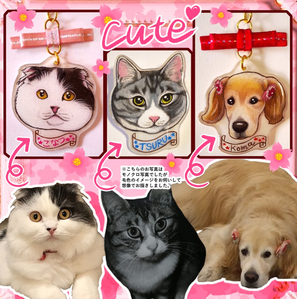 【ペットプラバン作品】似顔絵　作成例 ※。.:*:・'°☆