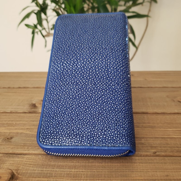 ガルーシャ（エイ革）レディース・メンズ財布　ラウンドファスナー　ポリッシュ　ブルー 3枚目の画像