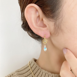 オンラインショップ 1_ffe13d0cd556e0aa317253d73cfc ピアス