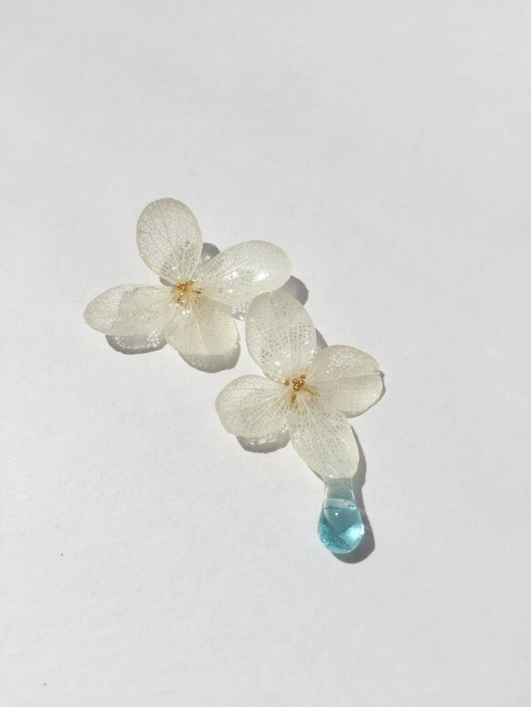 キラキラぽたり 紫陽花 pierce/earring 1枚目の画像