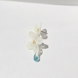 キラキラぽたり 紫陽花 pierce/earring 2枚目の画像