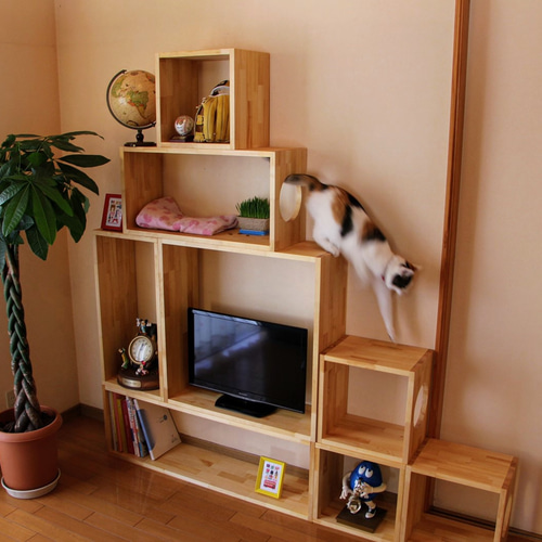 DIYユニットボックス（C） ねこ穴対応 ねこ家具 キャットタワー 棚 