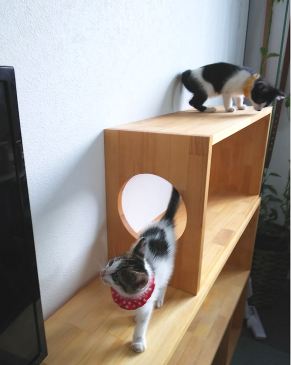 ユニットボックスB　ねこ穴対応　ねこ家具　キャットタワー　フリーボックス 3枚目の画像