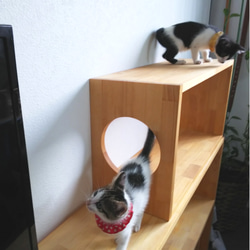 ユニットボックスD　ねこ穴対応　ねこ家具　キャットタワー　 3枚目の画像