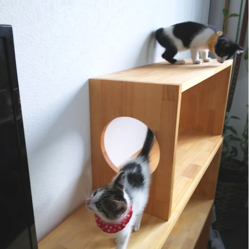 DIYユニットボックス(A) ねこ穴対応 ねこ家具 キャットタワー DIYユニットボックス(A) ねこ穴対応 ねこ家具 キャットタワー