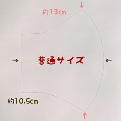 【再販】冬マスク☆裏起毛　先染め　タータンチェック　立体マスク　保湿　シルクプロテイン 4枚目の画像