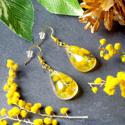 ドライフラワーイヤリングorピアス：スターフラワーとかすみ草の花束+