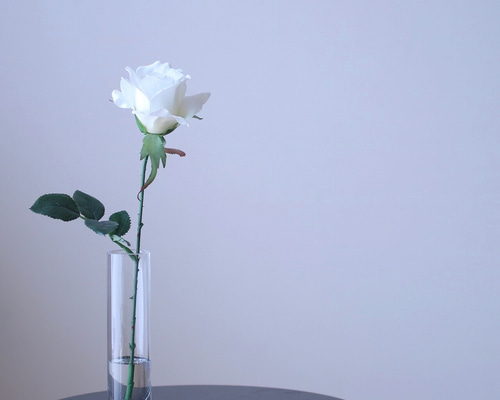 1_c7c839f328abedff3a3b6c749831