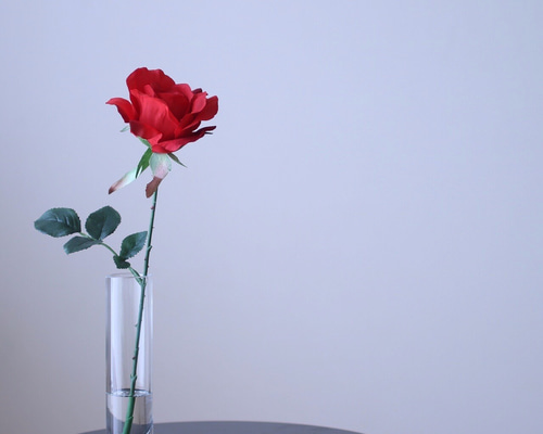 1_7ec09ecc1c3b647dd00bc523c0c8