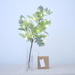 イルミネーション　小さなクリスマスツリー　グリーンリーフ（水換え不要切り枝） 1枚目の画像