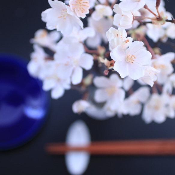 （水換え不要）ソメイヨシノ　しっとりお家でお花見♪　【桜の花瓶挿し】 2枚目の画像