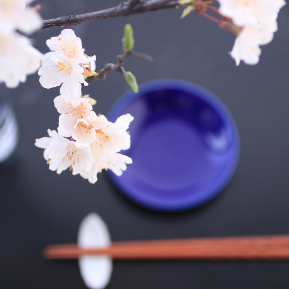 （水換え不要）ソメイヨシノ　しっとりお家でお花見♪　【桜の切り枝　二本挿し】 6枚目の画像