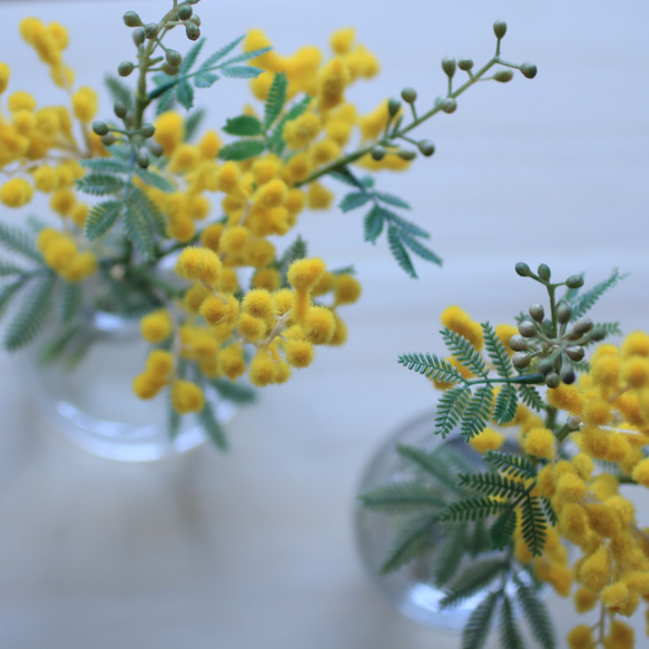 （水換え不要）選べるフラワーベース❤︎ミモザの花瓶挿し 6枚目の画像