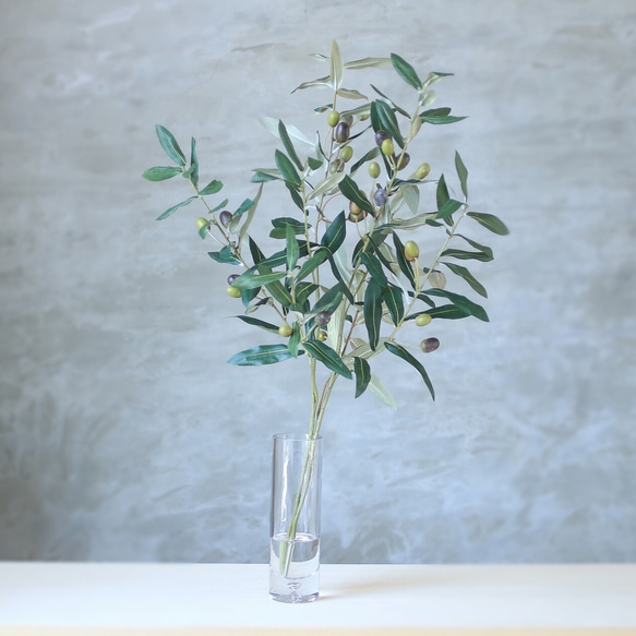 斑入りオリーブ切り枝（2本入） 【公式通販】