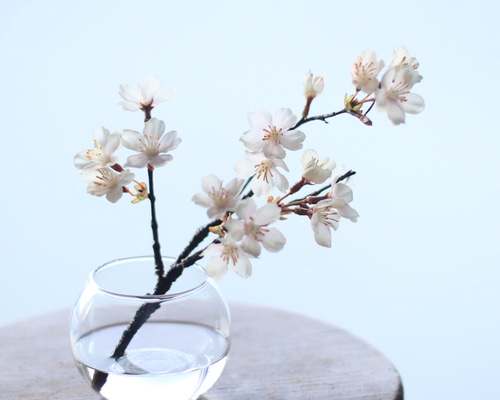 1_769965e89f1ff02c7b0e0a74bbf9