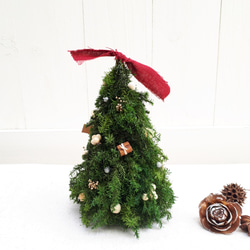 ＜選べるカラー＞mini christmas tree (red/white/black) 5枚目の画像