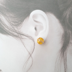 mimosa back pearl pierce 4枚目の画像