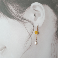 ＊14kgf＊ mimosa hitotsubu pierce/earring 3枚目の画像