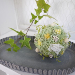 <再販×8>green moss ball wreath (green×yellow) 3枚目の画像
