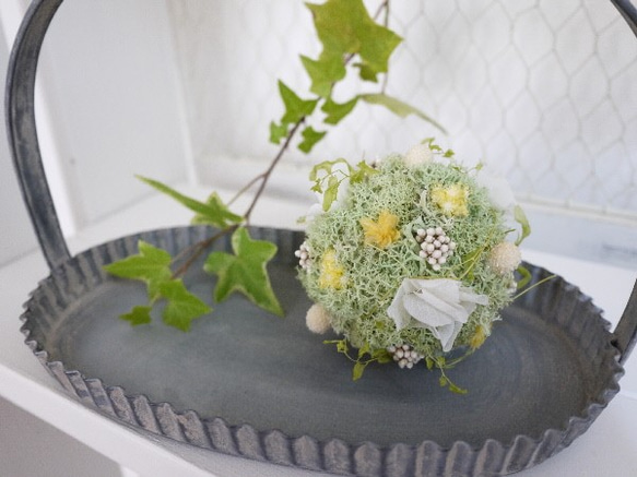 <再販×8>green moss ball wreath (green×yellow) 3枚目の画像